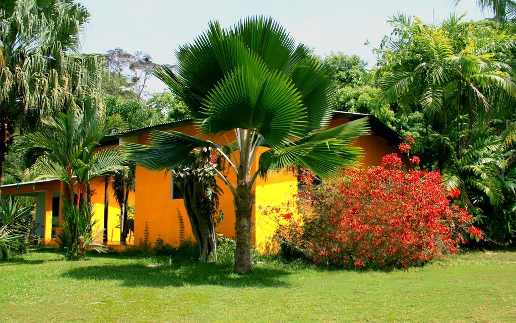 Hotel El Ranchito Surfcamp Pedregal Exterior foto